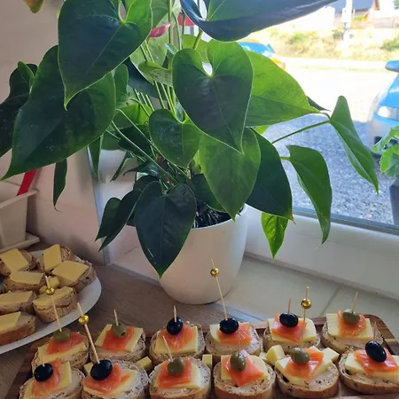 ヴィラ Vikendica Ramona