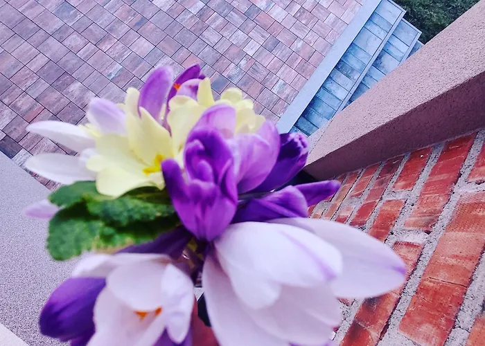 Villa Vikendica Ramona *